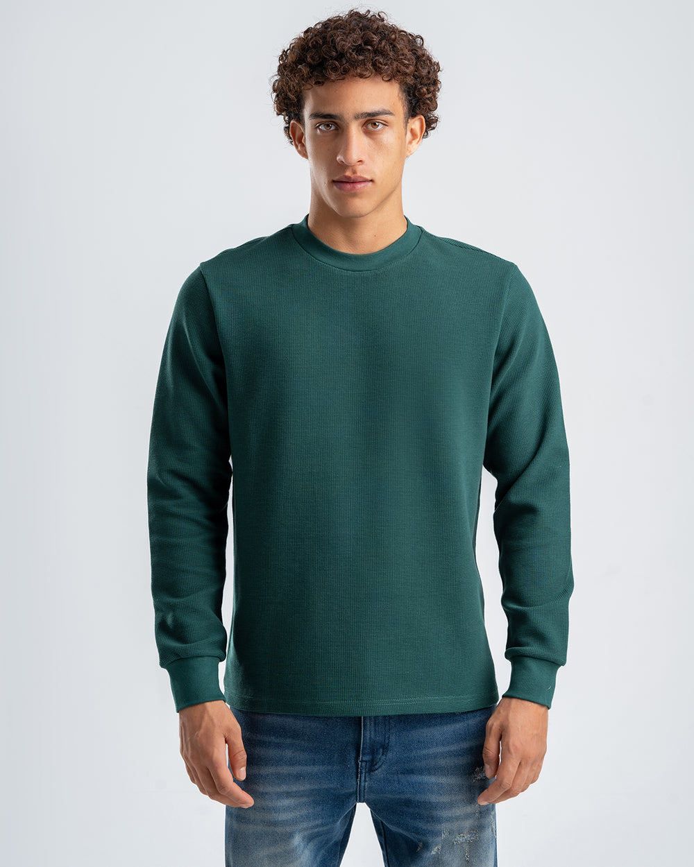 Men's Drak Olive Standard Fit Crew Neck Pullover