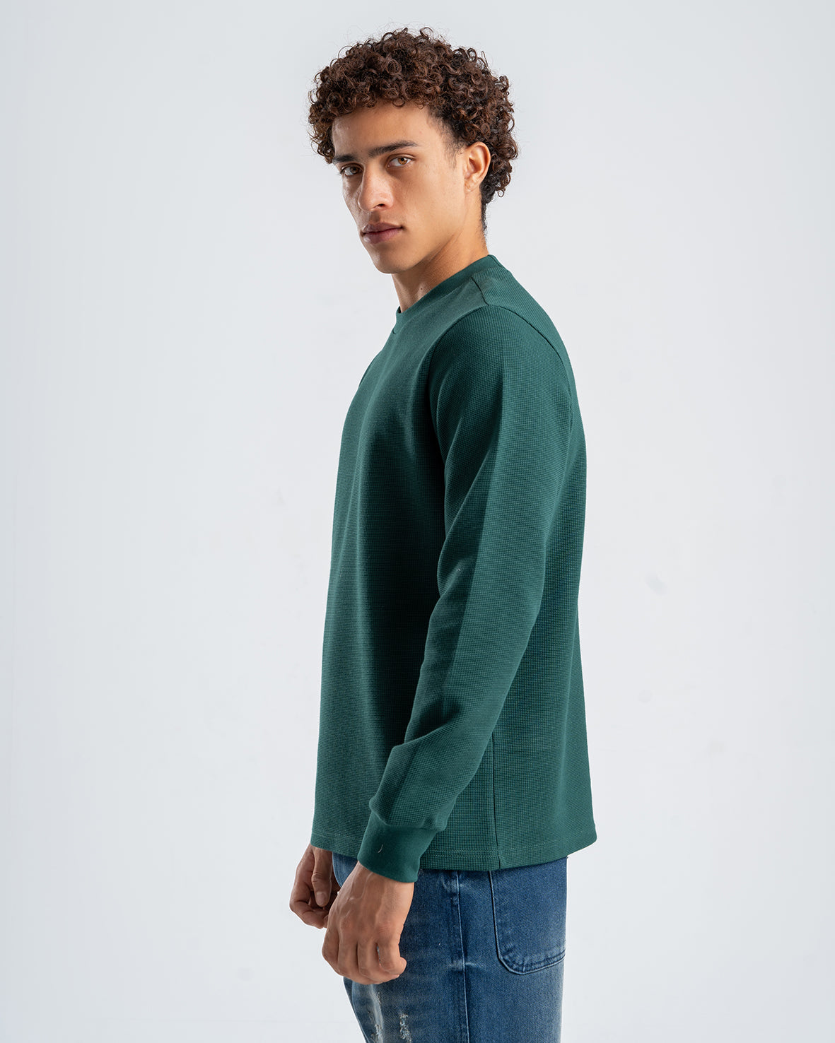 Men's Drak Olive Standard Fit Crew Neck Pullover