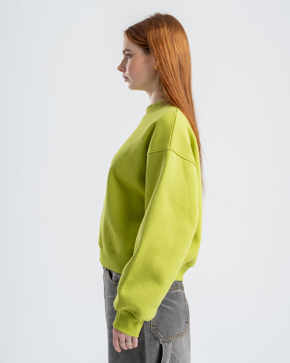 Light Green Crew Neck Embroidered Women's Thick Sweatshirt